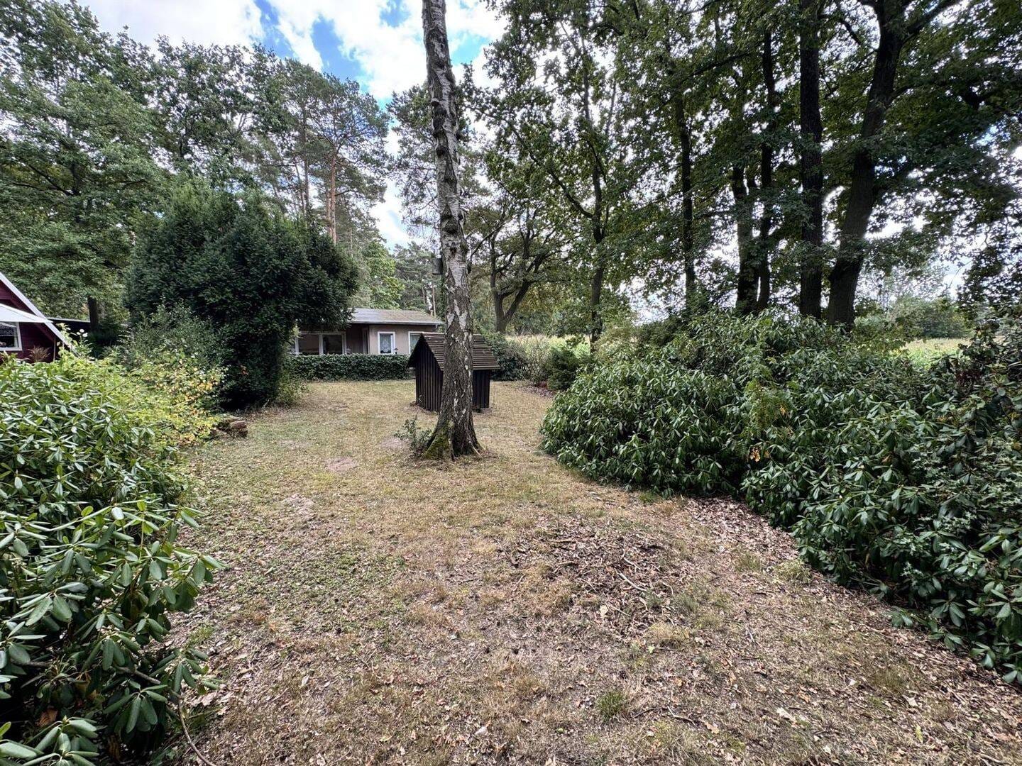 Immobilie in Dahlen - Idyllisches Wochenendgrundstück mit Bungalow in der Dahlener Heide - Ihr Rückzugsort inmitten der Natur - Bild 1