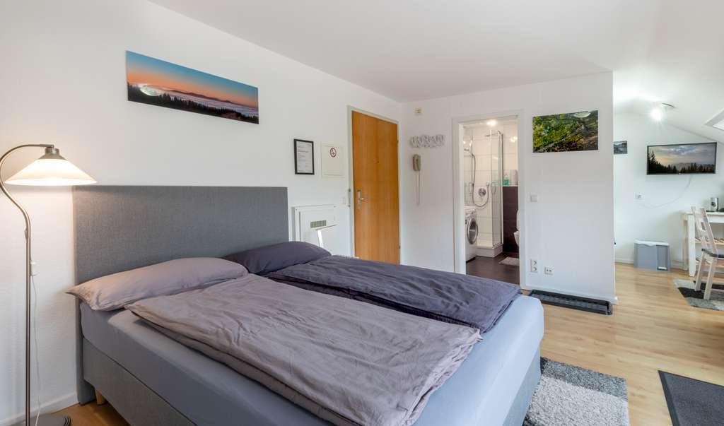 Immobilie in Bad Peterstal-Griesbach - Charmante Dachgeschosswohnung mit Panorama-Dachterrasse im Schwarzwald - Bild 3