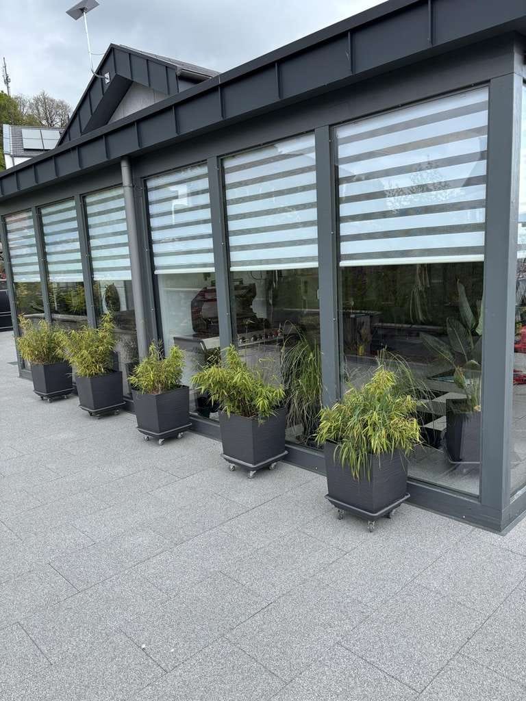 Immobilie in Oberbettingen - Architektenhaus mit Wintergarten, Doppelgarage, Doppelcarport und 28 kw/p Photovoltaik - Bild 1