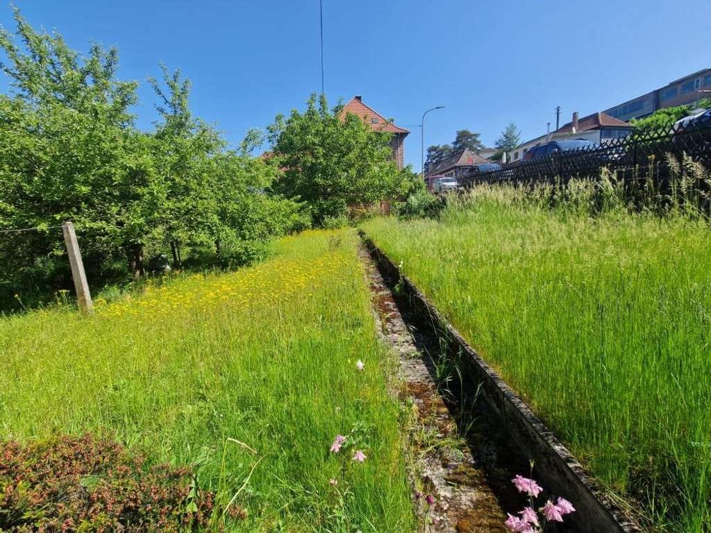 Immobilie in Steinalben - +++ Charmantes Sandsteinhaus mit Scheune, Ausbaupotenzial und traumhaftem Südgarten+++ - Bild 3