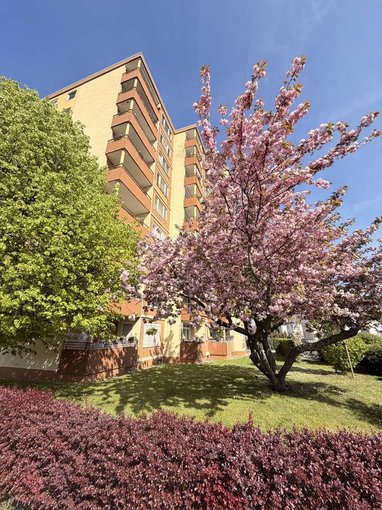 Immobilie in Bensheim - Bensheim, freundliche, stufenlose 3 ZKB-Eigentumswohnung mit Balkon - Bild 1