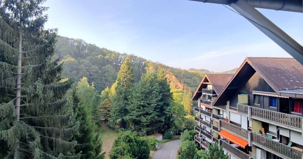 Immobilie in Sasbachwalden - Idyllisches Wohnen mit Weitblick: Moderne, vollmöblierte Wohlfühloase im Grünen. Frei ab 01.09.2026 - Bild 4