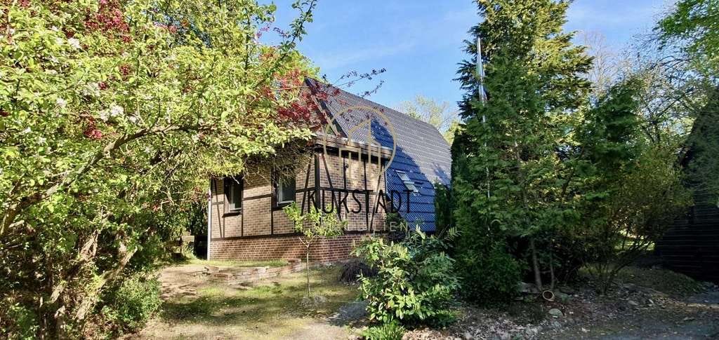 Immobilie in Altenmedingen - Neue Preispositionierung – Einfamilienhaus mit großem Potenzial! - Bild 2