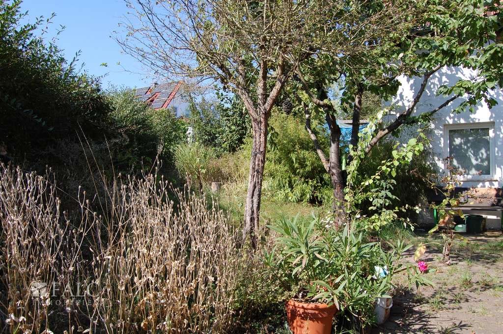 Immobilie in Waldeck - +++PREISSENKUNG! Schönes Einfamilienhaus mit vielseitigen Möglichkeiten in der Nähe des Edersees!+++ - Bild 2