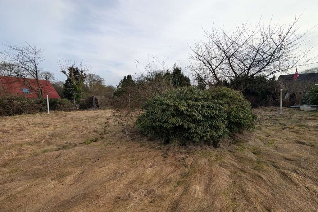 Immobilie in Dassendorf - Idyllisches Wohnen in ruhiger Lage von Dassendorf - Bild 2