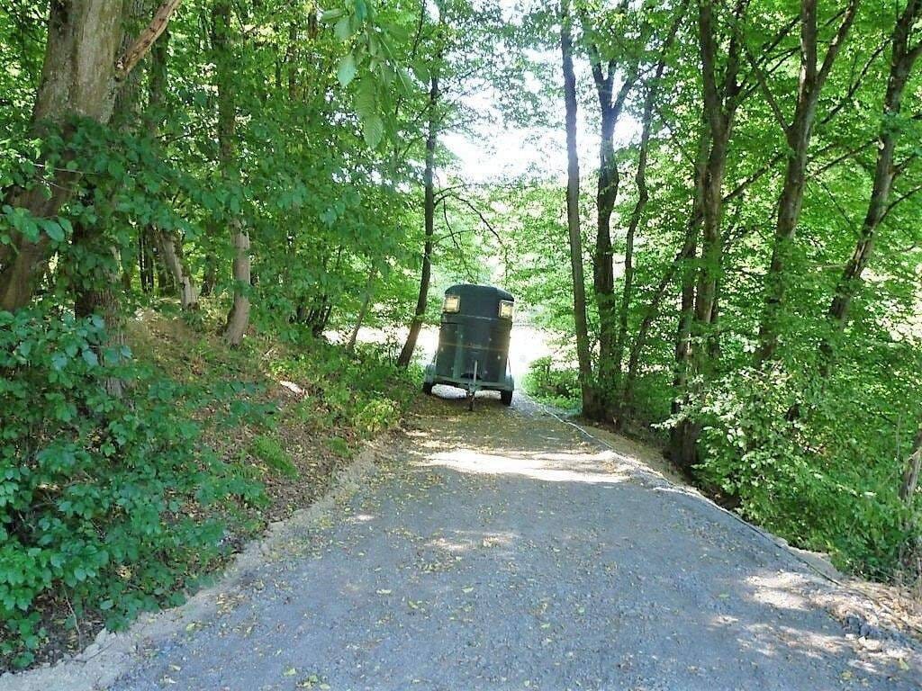 Immobilie in Flammersfeld - IMMOBILIEN LONNY** Historisches Anwesen mit Pferdehaltung - Bild 1