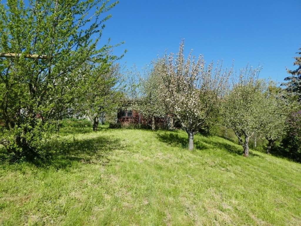 Immobilie in Müglitztal - Ein Sanierungsobjekt mit vielen Möglichkeiten! - Bild 2