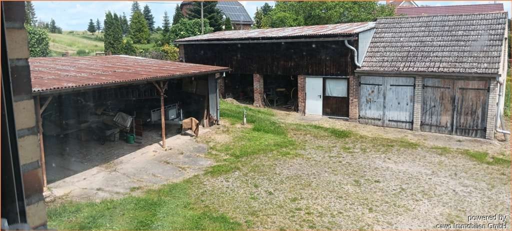 Immobilie in Oderberg - Ehmalige Gärtnerei mit Wohnhaus, Gewächshaus, Nebengelassen auf 3.500 m² Land - Bild 3