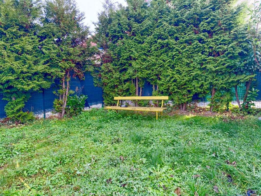 Immobilie in Mücheln (Geiseltal) - Familienhaus am Geiseltalsee - Bild 4