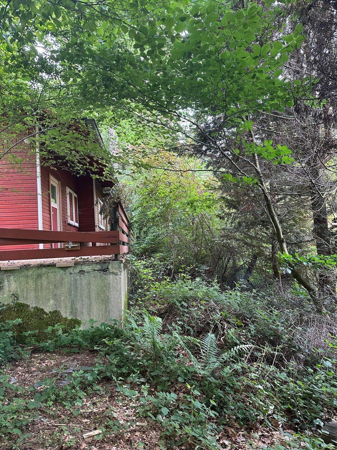 Immobilie in Carlsberg - *** Kleines Wochenendhaus im Naturschutzgbiet Pfälzerwald in Carlsberg-Hertlingshausen *** - Bild 2