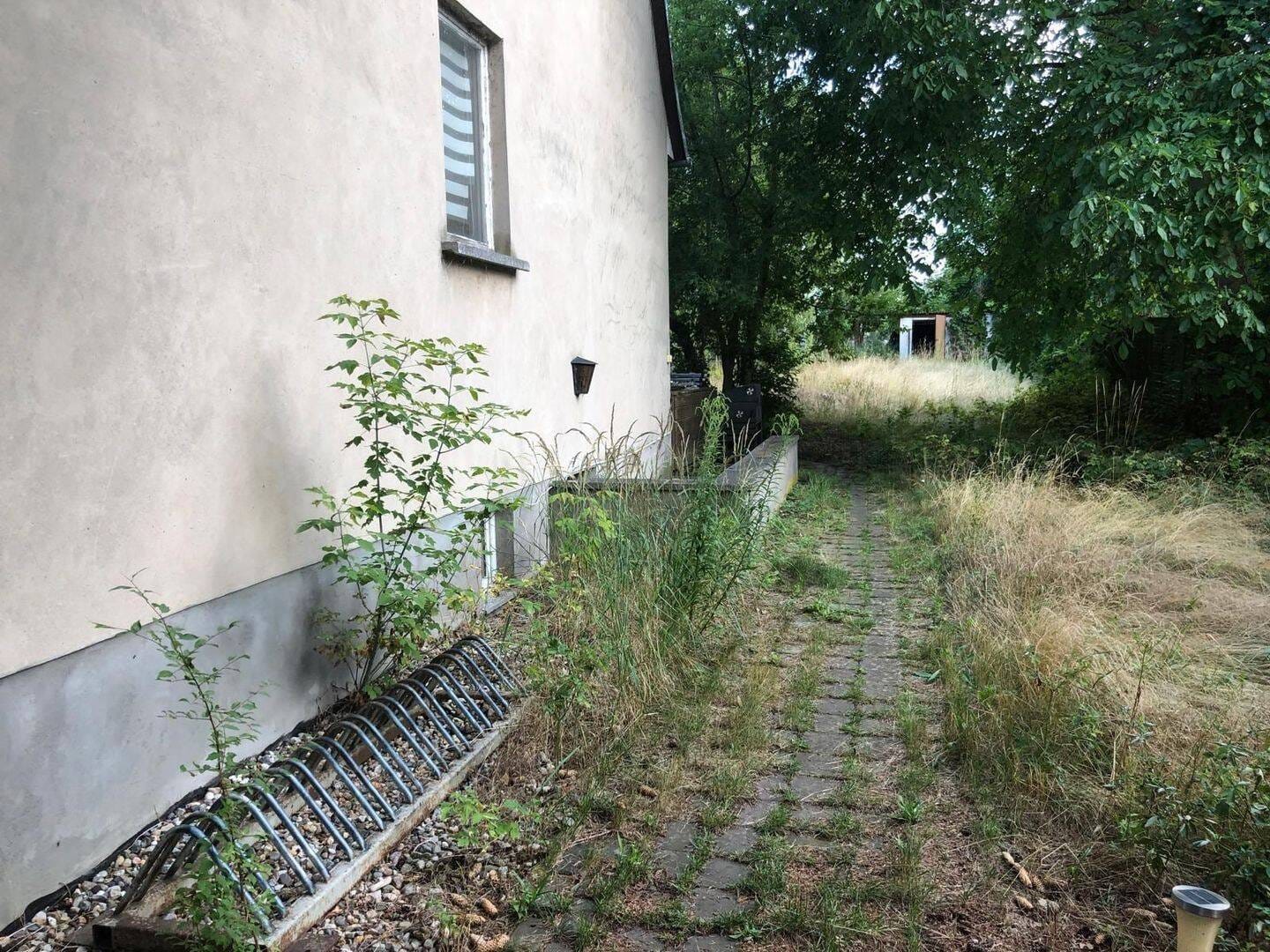 Immobilie in Werder (Havel) - Freistehendes Einfamilienhaus in idyllischer Waldrandlage von Werder - Bild 3
