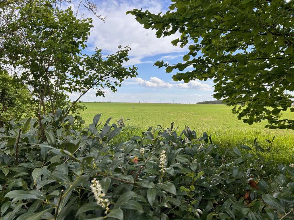 Immobilie in Ilsede - Energiesparendes großes Einfamilienhaus - Bild 2