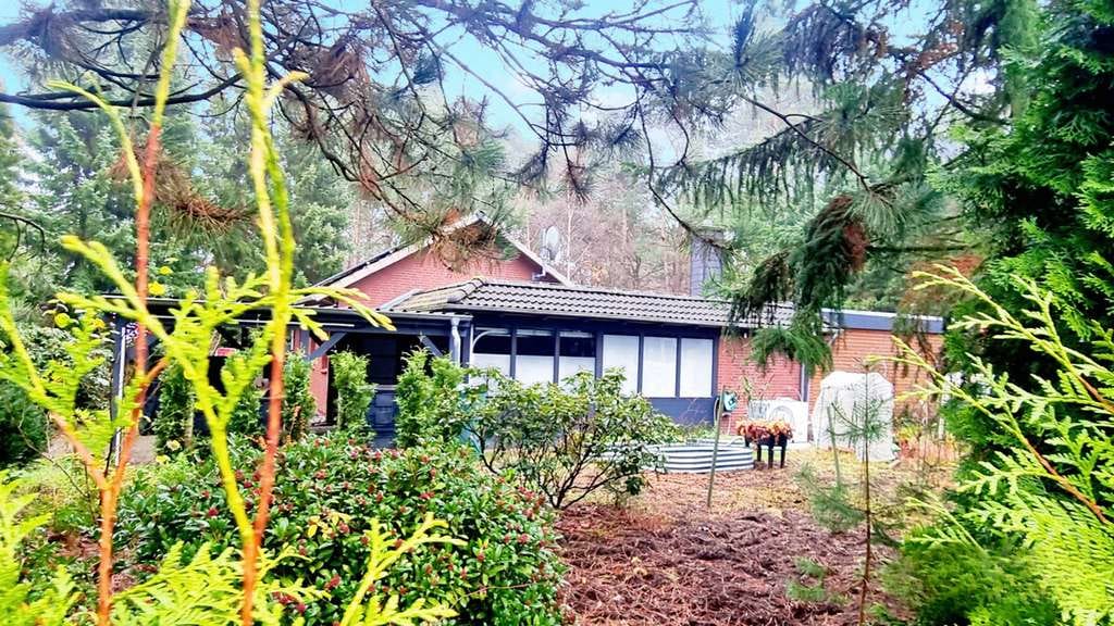 Immobilie in Armstorf - Freistehendes Einfamilienhaus mit großem Naturgrundstück in am Waldrand - Bild 0