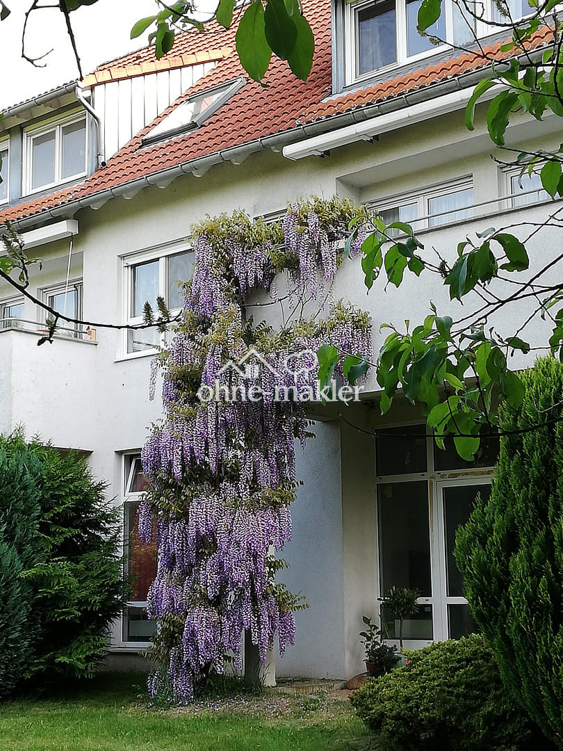 Immobilie in Zittau - Wohnung im Grünen - Bild 0