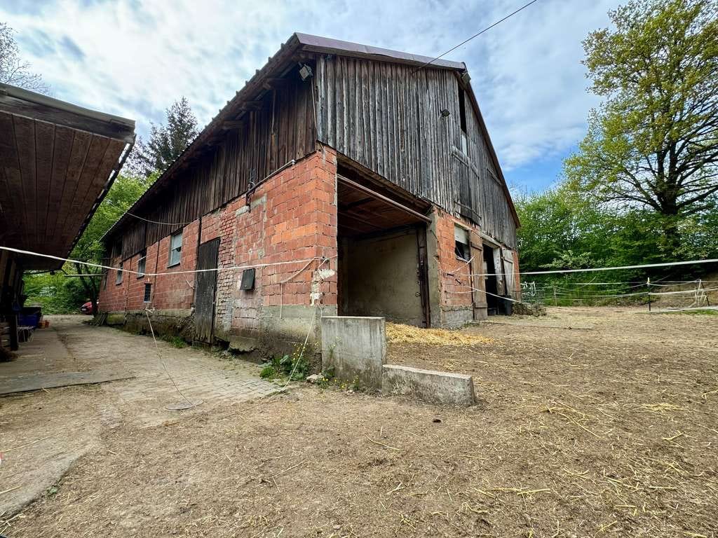 Immobilie in Mietingen - Pferdehof mit Außenboxen, Offenstall & Reitplatz - Bild 0