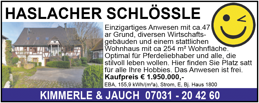 Immobilie in Fischerbach - Haslacher Schlössle - Bild 1