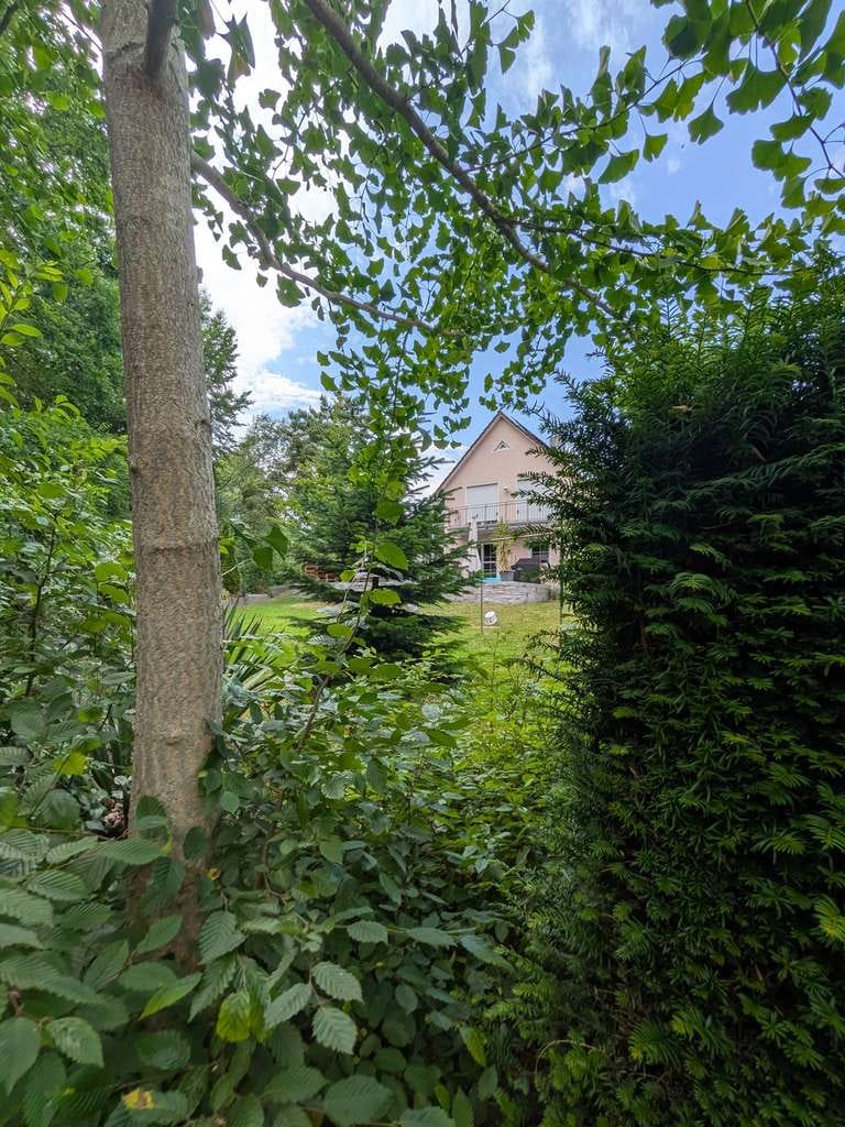 Immobilie in Wertingen - Großzügiges Einfamilienhaus in Randlage von Wertingen - Bild 2