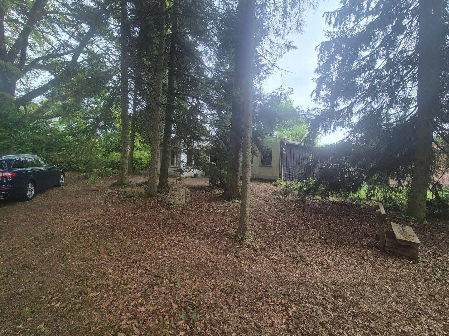 Immobilie in Coswig (Anhalt) - Ferienbungalow mit ganzjähriger  Nutzungsmöglichkeit - Bild 4