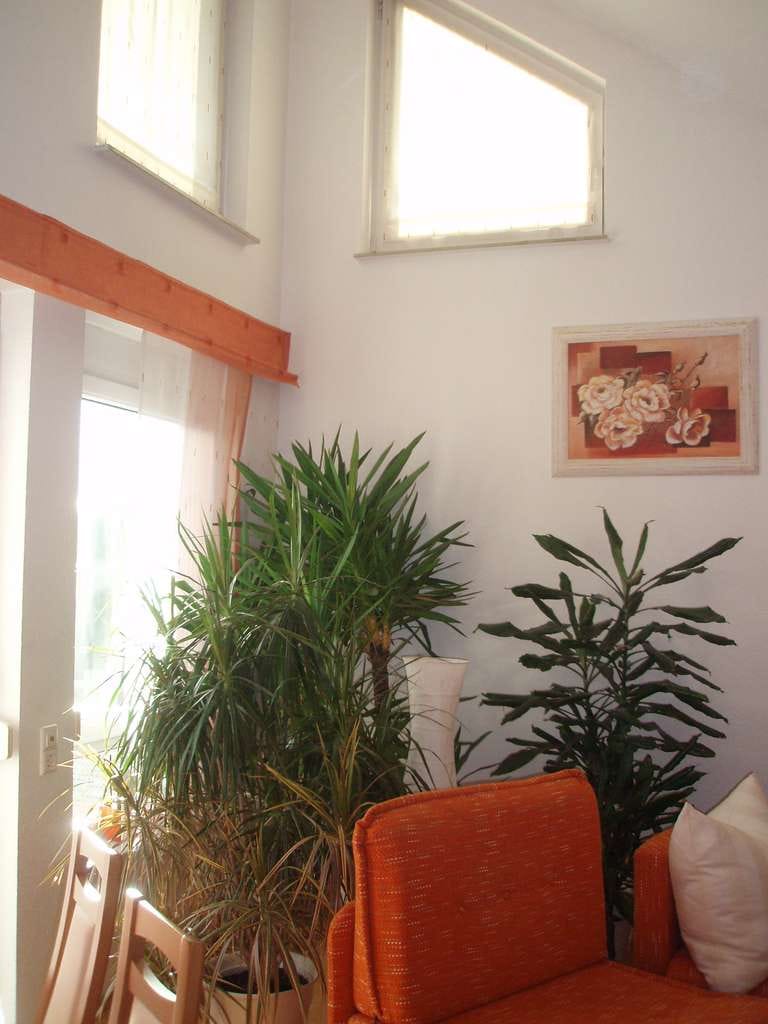 Immobilie in Nufringen - Wohnen mit Komfort – 2-Zimmerwohnung in guter Lage von Nufringen - Bild 4