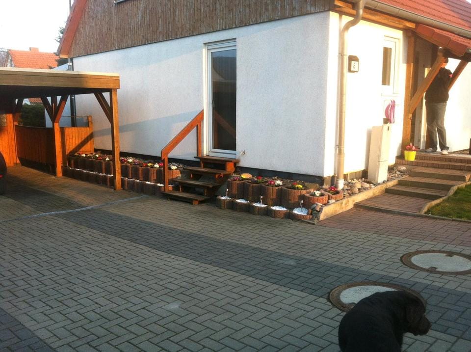 Immobilie in Dassel - Einfamilienhaus in Mackensen - Bild 0