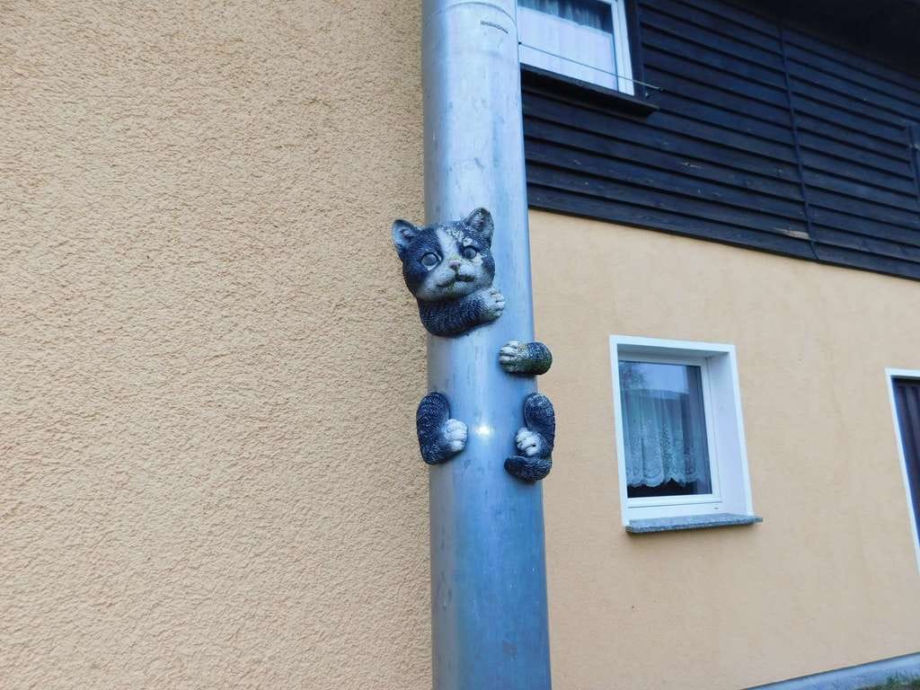 Immobilie in Friesack - einzigartige Immobilie zum Kauf mit großzügigen Grundstück in Brädikow - Bild 1