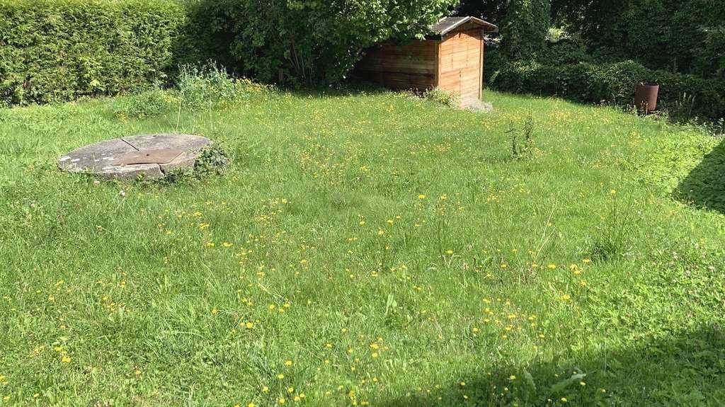 Immobilie in Roßwein - Voll vermietetes 3-Familienhaus  - Bild 3