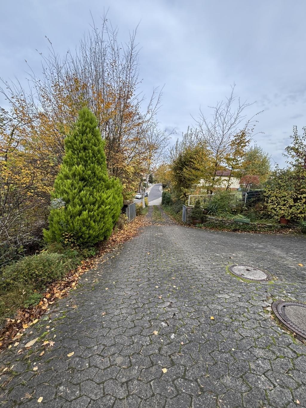 Immobilie in Ortenberg - Einfamilienhaus freistehend in Ortenberg (Bergheim) - Bild 3