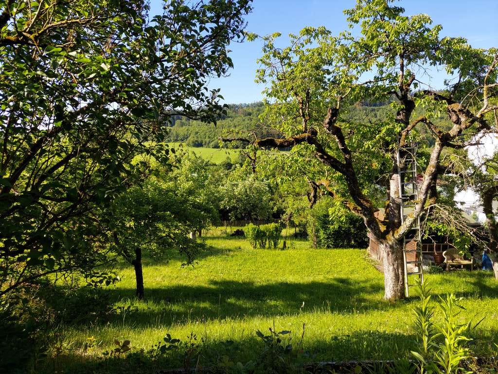 Immobilie in Rudersberg - Panorama-Aussicht! Einfam.-Haus mit Garage, Gartenhäusle, großem Garten! - Bild 2