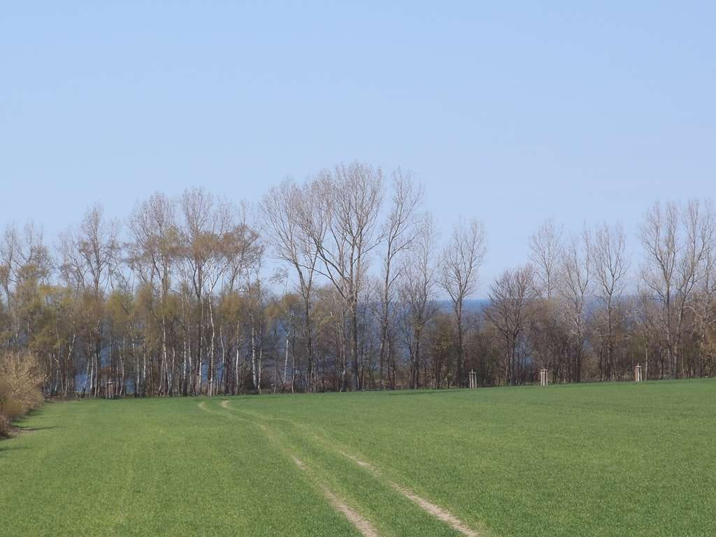 Immobilie in Rerik - Wohnung mit Ostseeblick in Rerik - Bild 1