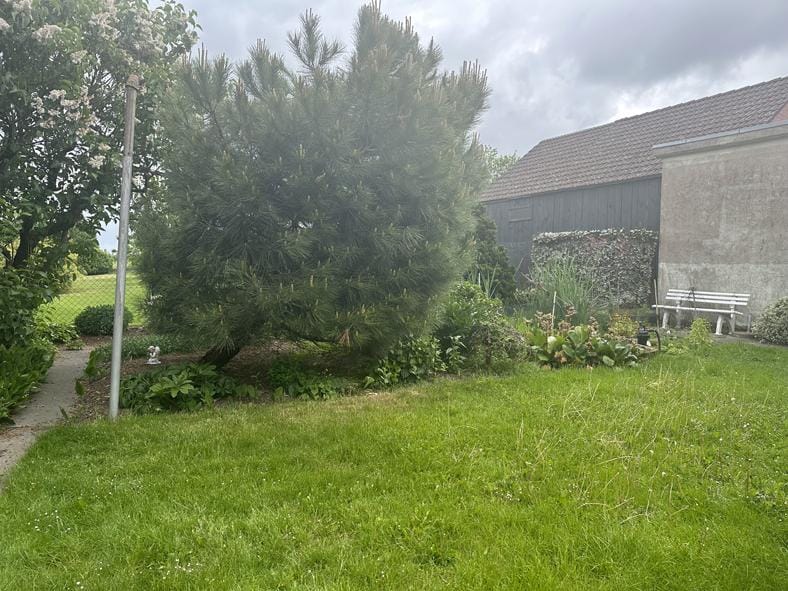 Immobilie in Deensen - Mehrfamilienhaus in Deensen - Bild 2