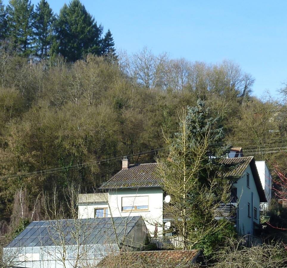 Immobilie in Billigheim - Freistehendes Ein/Zweifamilienhaus mit angrenzenden Gewächshaus in Allfeld! - Bild 0