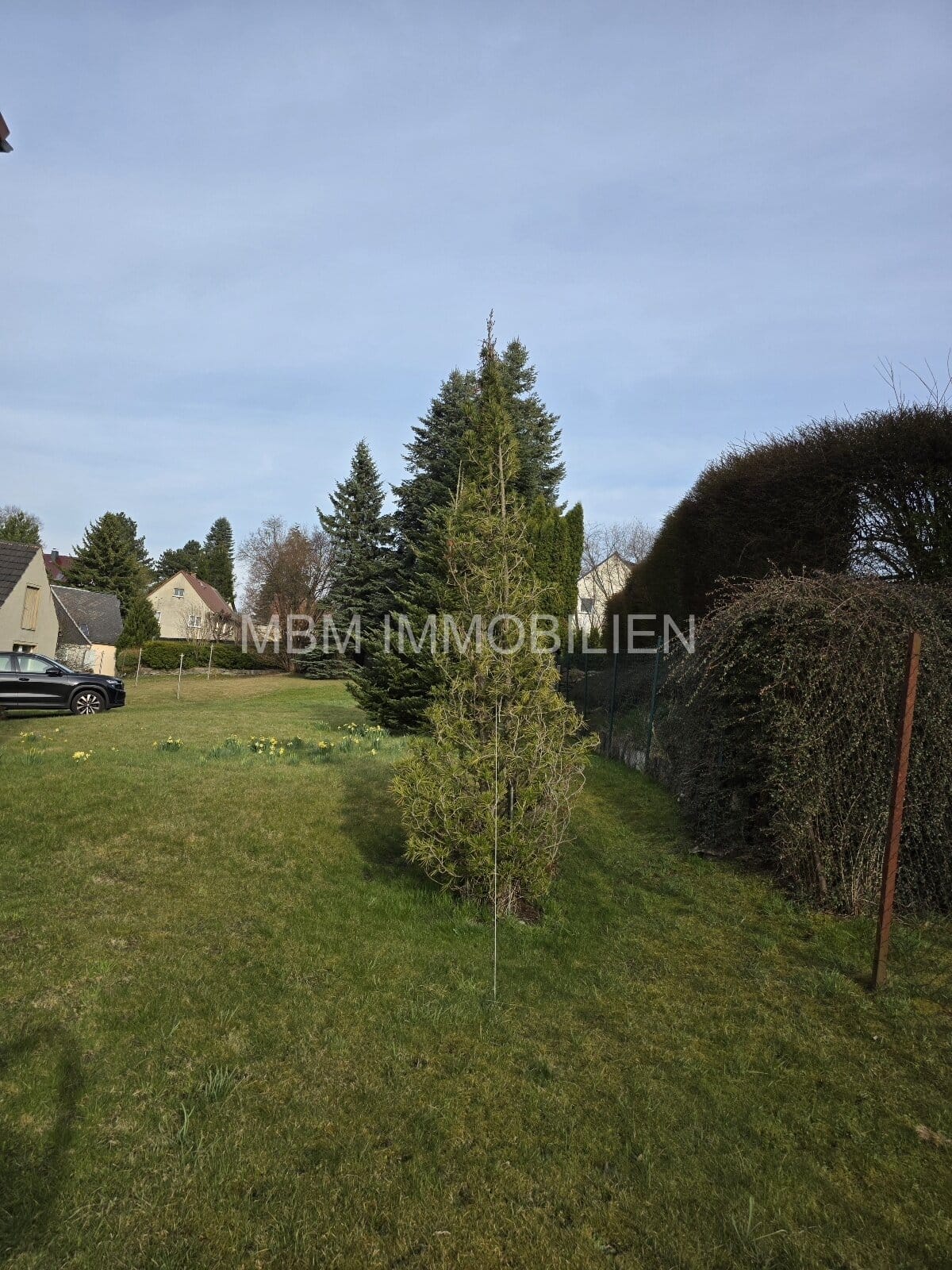 Immobilie in Wilthen - Idyllisches Einfamilienhaus mit großem Grundstück in ruhiger Lage der Oberlausitz - Ihr neues Zuhause in Wilthen - Bild 3