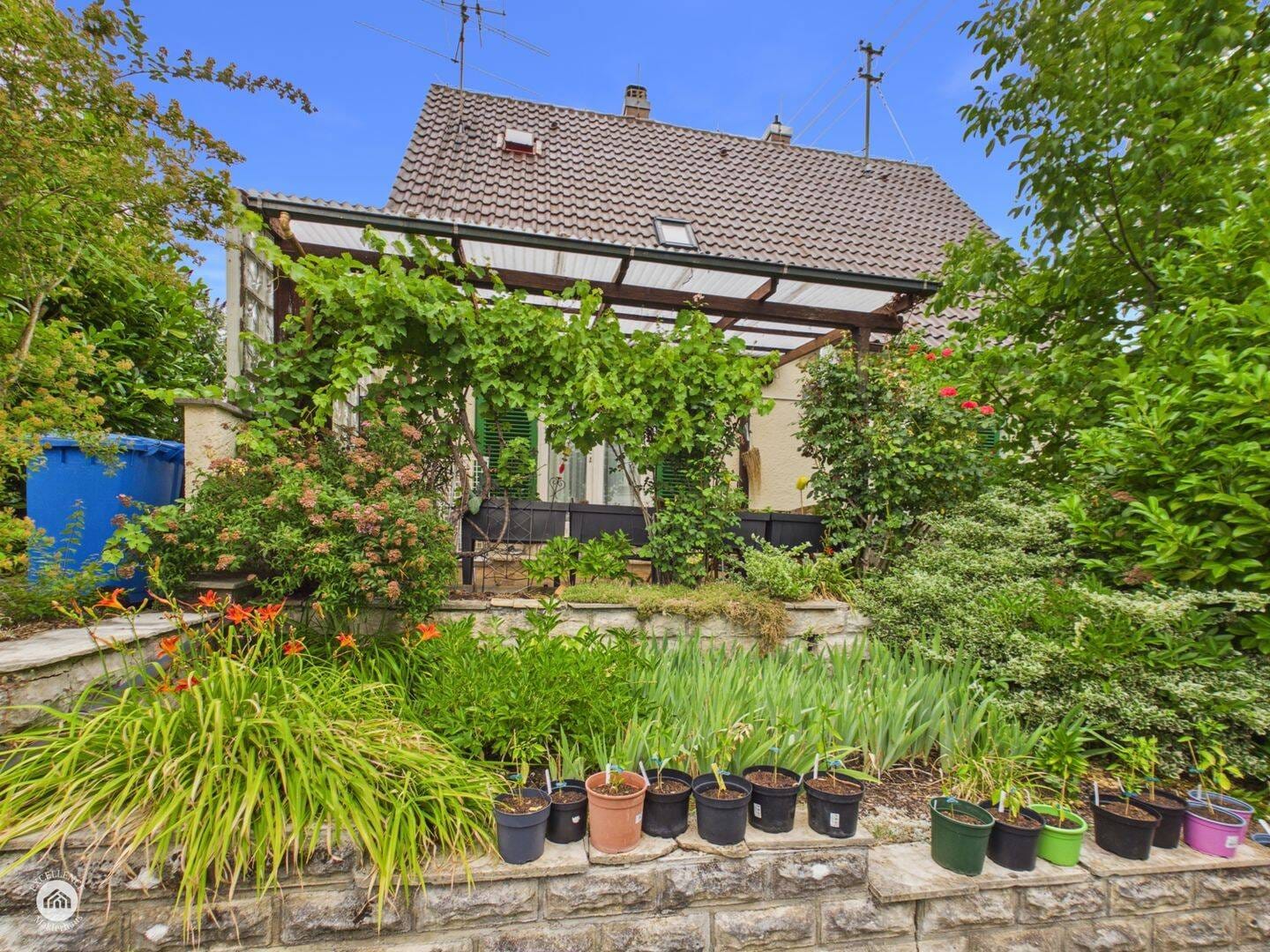 Immobilie in Neuburg an der Kammel - Hier wird der Traum vom Eigenheim wahr! Einfamilienwohnhaus mit 700 m² Grundstück zum Wohlfühlen! - Bild 0