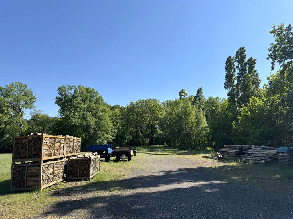 Immobilie in Liebschützberg - Landanwesen (3,5ha) mit großem Haus und Gewerbehalle - Bild 4
