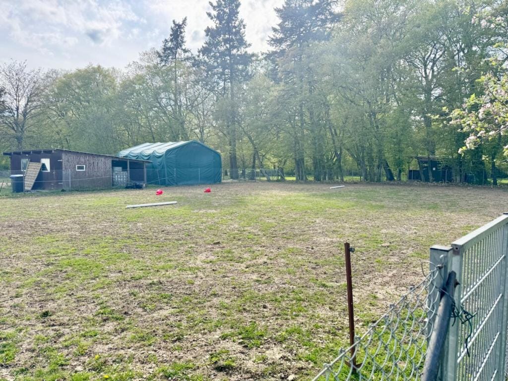 Immobilie in Bartow - Einfamilienhaus freistehend in Werder - Bild 2