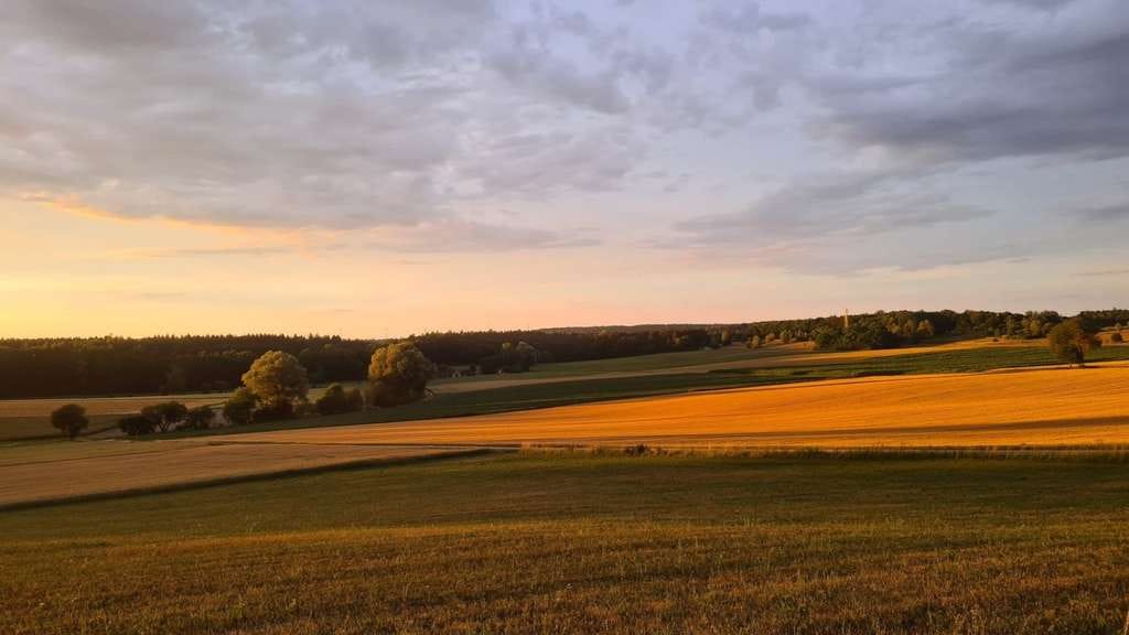 Immobilie in Stammham - Mehrgenerationenhaus mit Traum-Grundstück in Appertshofen; 1x Wohneinheiten - Bild 3