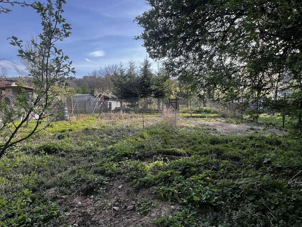 Immobilie in Eisingen - Sanierungsobjekt mit Scheune & großem Garten in zentraler Lage zu verkaufen - Bild 4