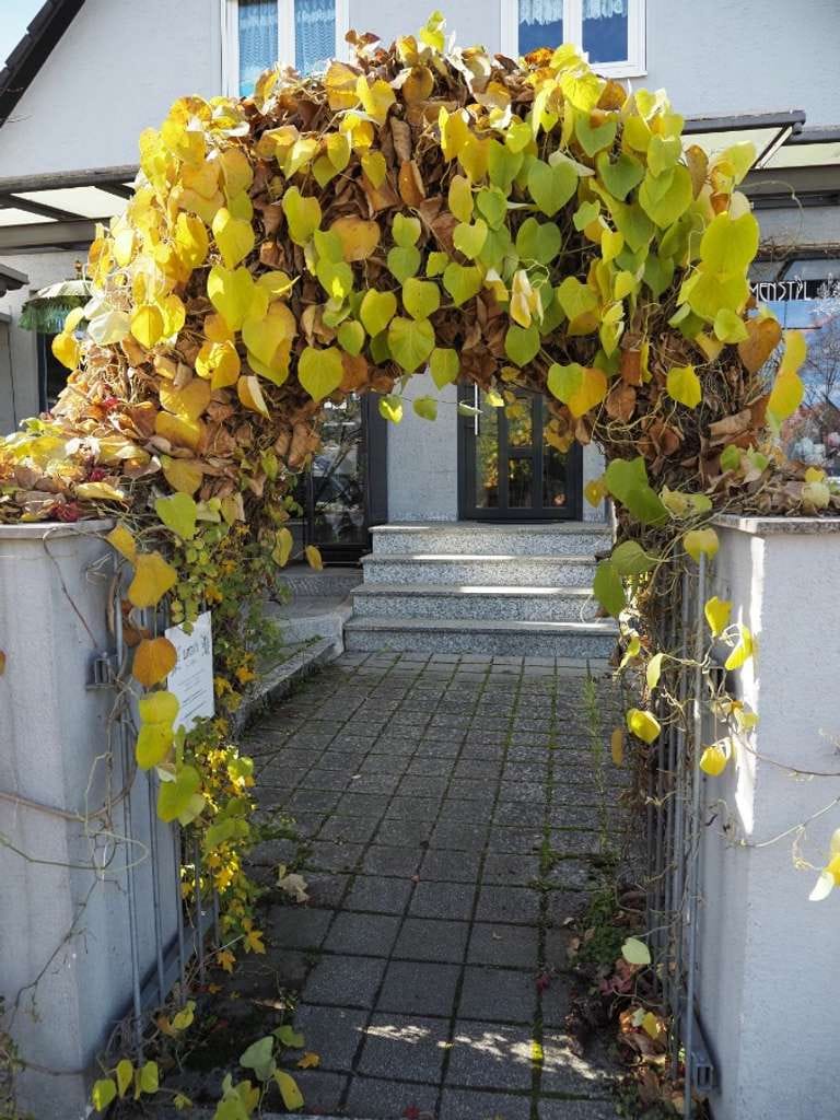 Immobilie in Schwabhausen - Wohnen im Blumenviertel- Gartentraum mit flexibler Nutzung -EFH oder Wohnen und Arbeiten kombinieren - Bild 2