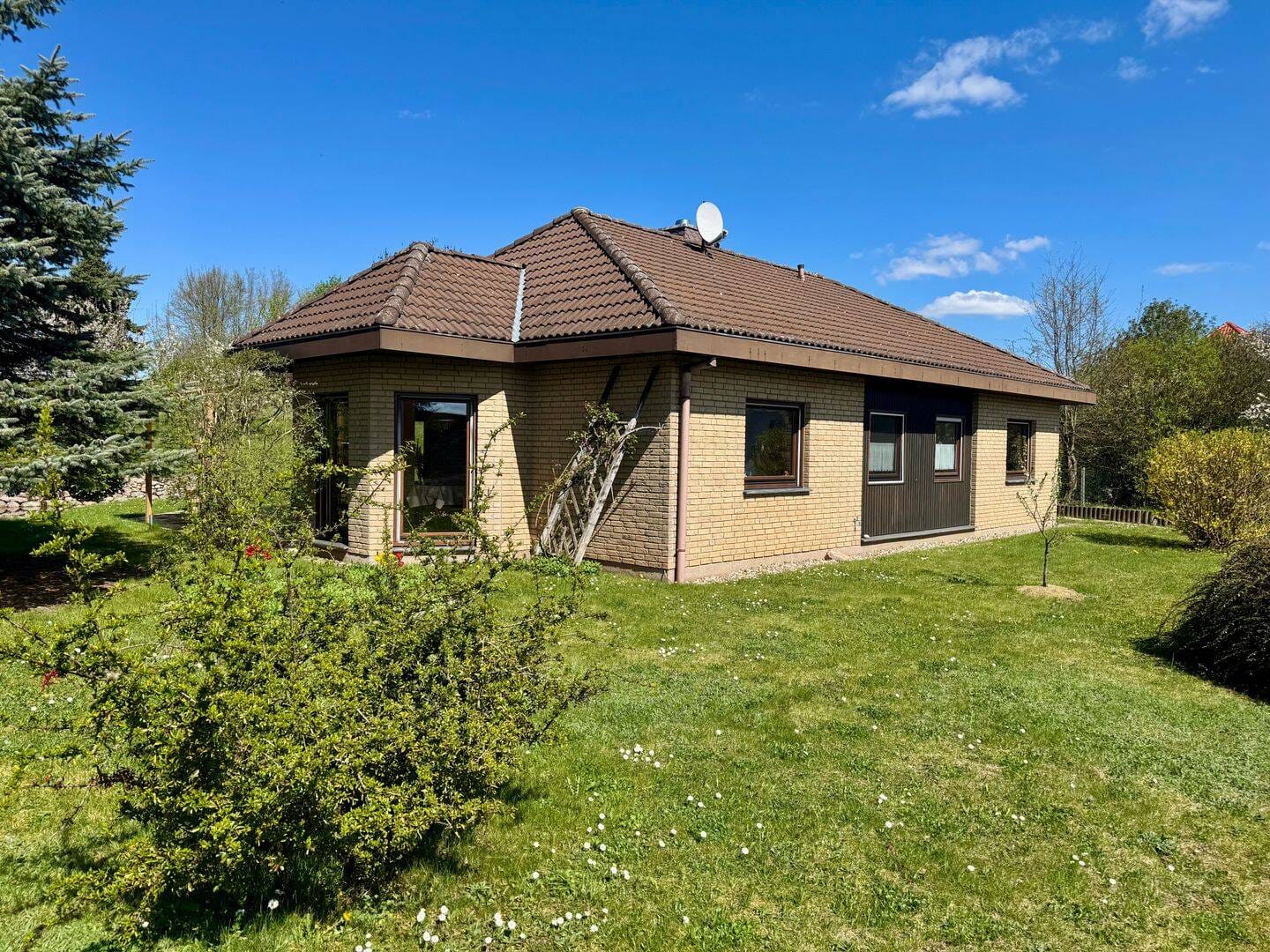Immobilie in Hohenzieritz - Einfamilienhaus/Ferienhaus mit großem Grundstück - Bild 0