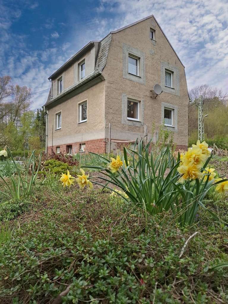 Immobilie in Hainichen - Einfamilienhaus mit großem Grundstück und Doppelgarage in ruhiger Lage!

 - Bild 3