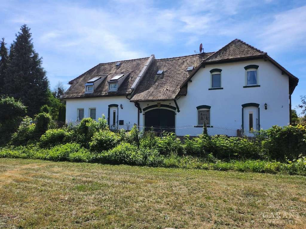 Immobilie in Mügeln - Geräumiges Einfamilienhaus mit Einliegerwohnung zu verkaufen - Bild 0