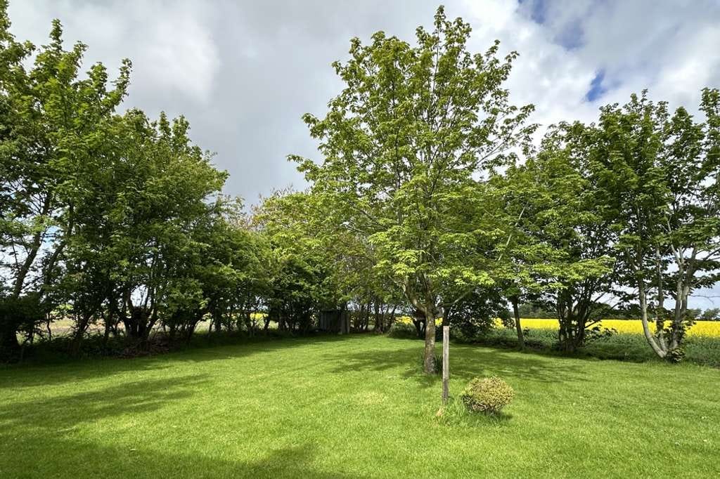 Immobilie in Dagebüll - Handwerkerhaus mit großem Garten und 
1,8613 ha Ackerland unmittelbar am Nordseedeich in Dagebüll - Bild 4