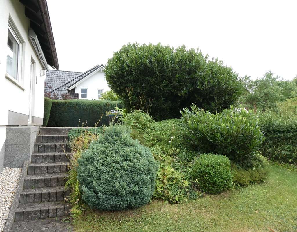 Immobilie in Haiger - Langenaubach: freistehendes Einfamilienhaus - Bild 1