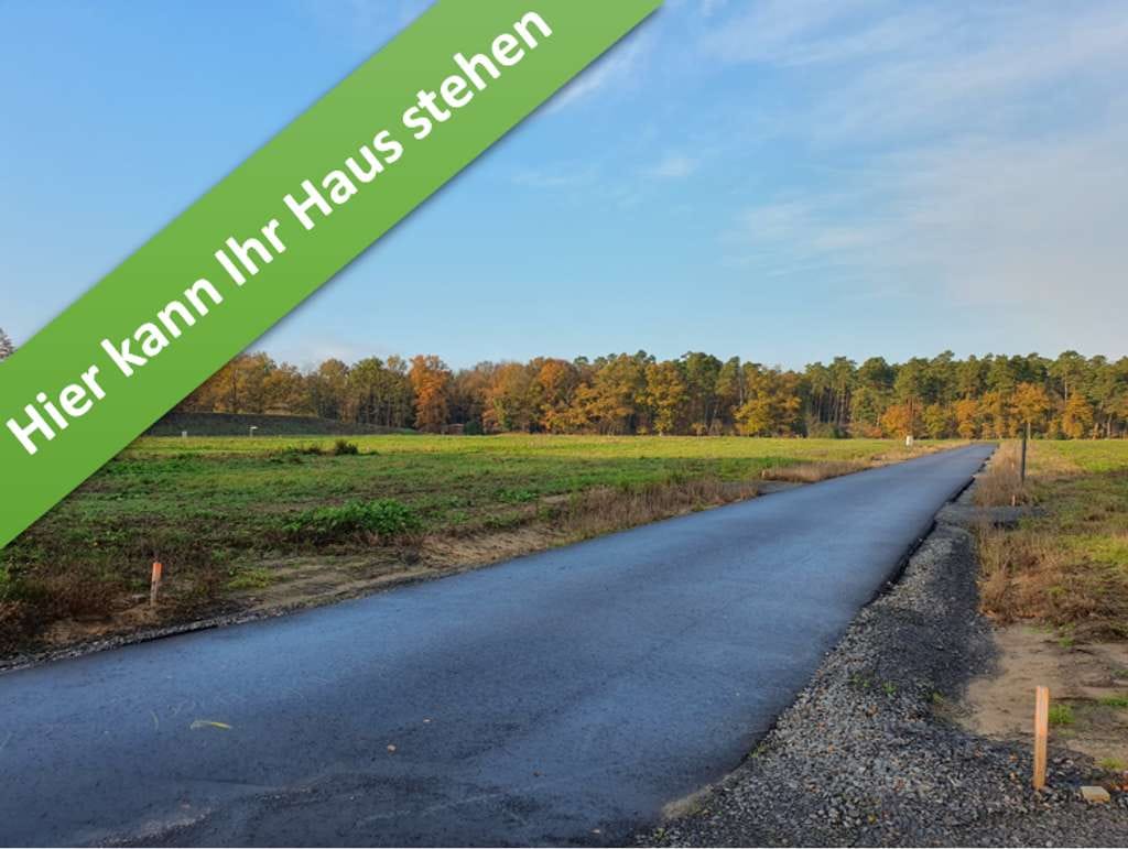 Immobilie in Hodenhagen - Mit Grundstück, Familienleben auf einer Ebene in Hodenhagen. - Bild 1