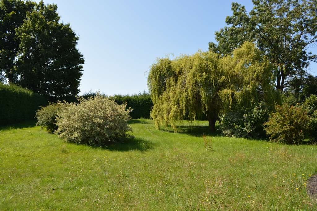 Immobilie in Dasing - Familienglück im Grünen: Großzügiges Eigenheim mit Gartenparadies - Bild 3