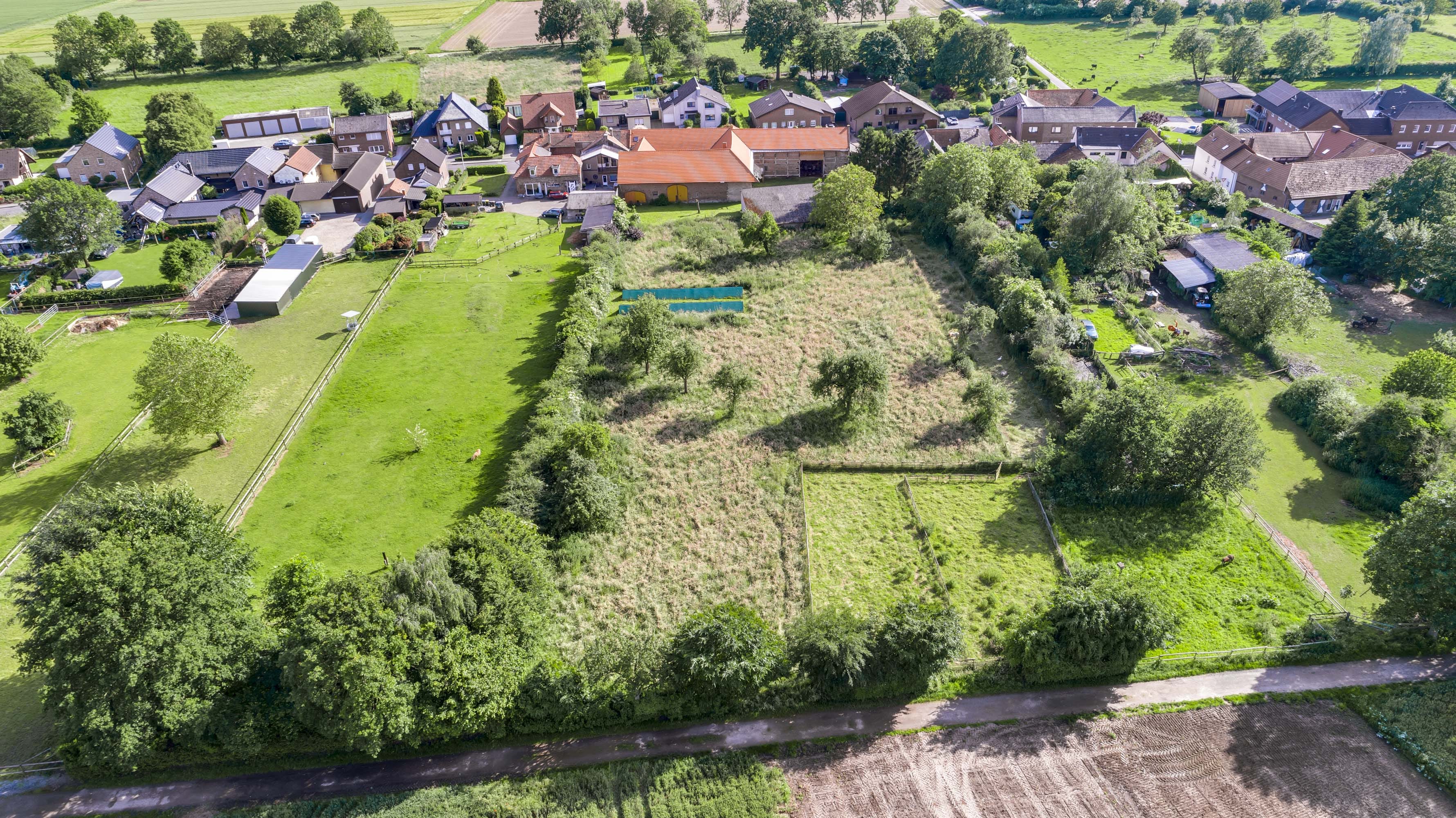 Immobilie in Gangelt - Pferde oder Kleinvieh zu Hause und wohnen in einem Vierkanthof?.....hier ist es möglich! - Bild 3