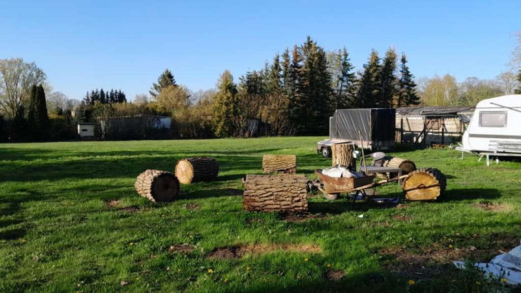 Immobilie in Klein Bünzow - Zweifamilienhaus bei Anklam mit viel Grundstück - Bild 3