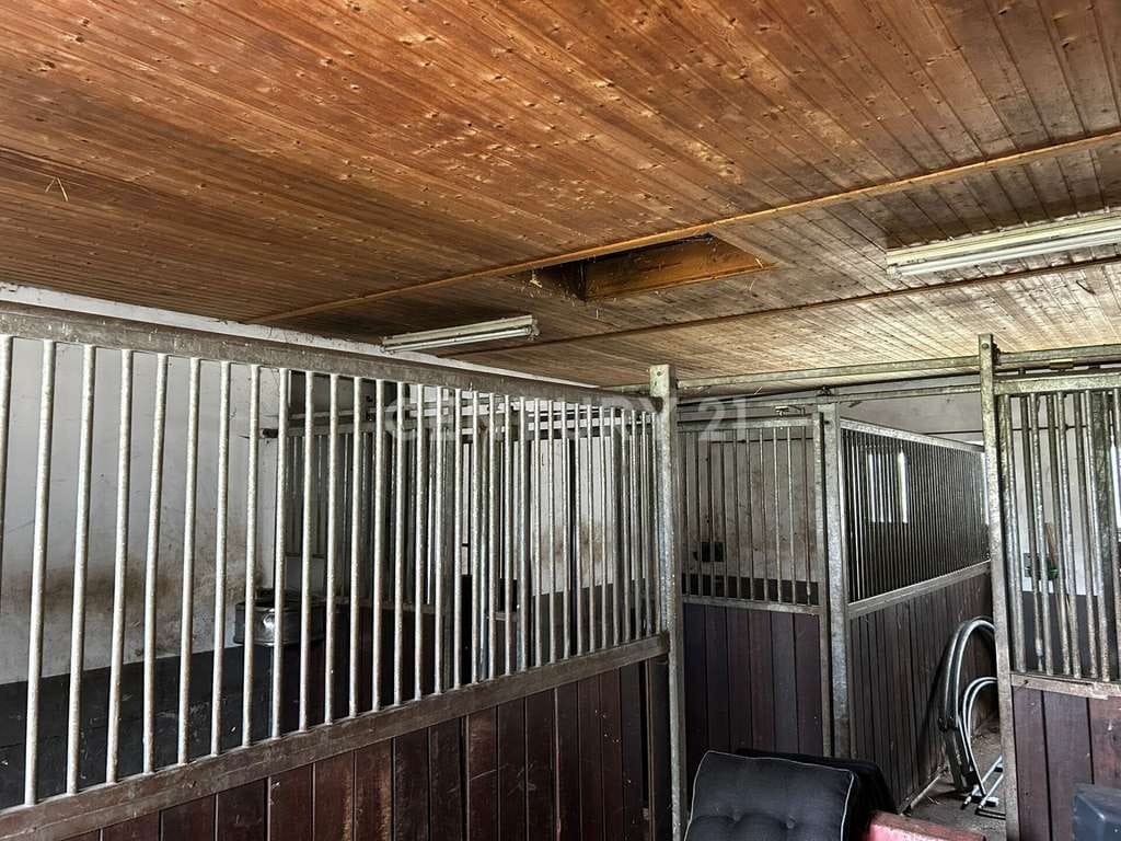 Immobilie in Dähre - Pferdefreunde aufgepasst - schöner Resthof wartet auf neue Nutzung - Bild 4