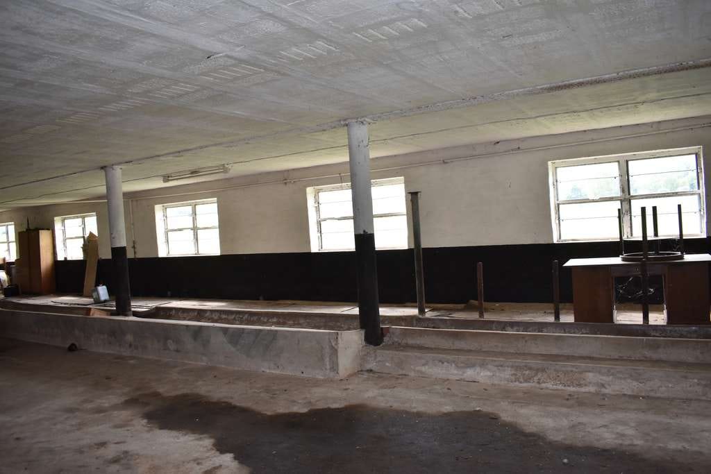 Immobilie in Bilshausen - Wohnhaus mit massiven Stallungen auf 1,3ha Grundstück - Bild 4