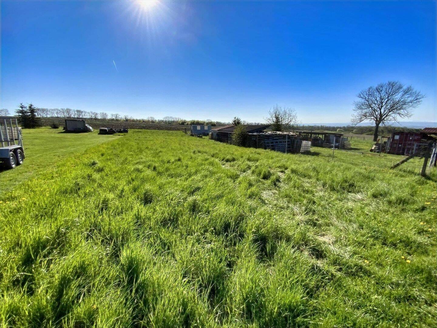 Immobilie in Dingelstädt - Charmanter Bauernhof mit großem Landgarten, Scheune und geschütztem Innenhof - Bild 4